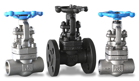 Forged steel valve series